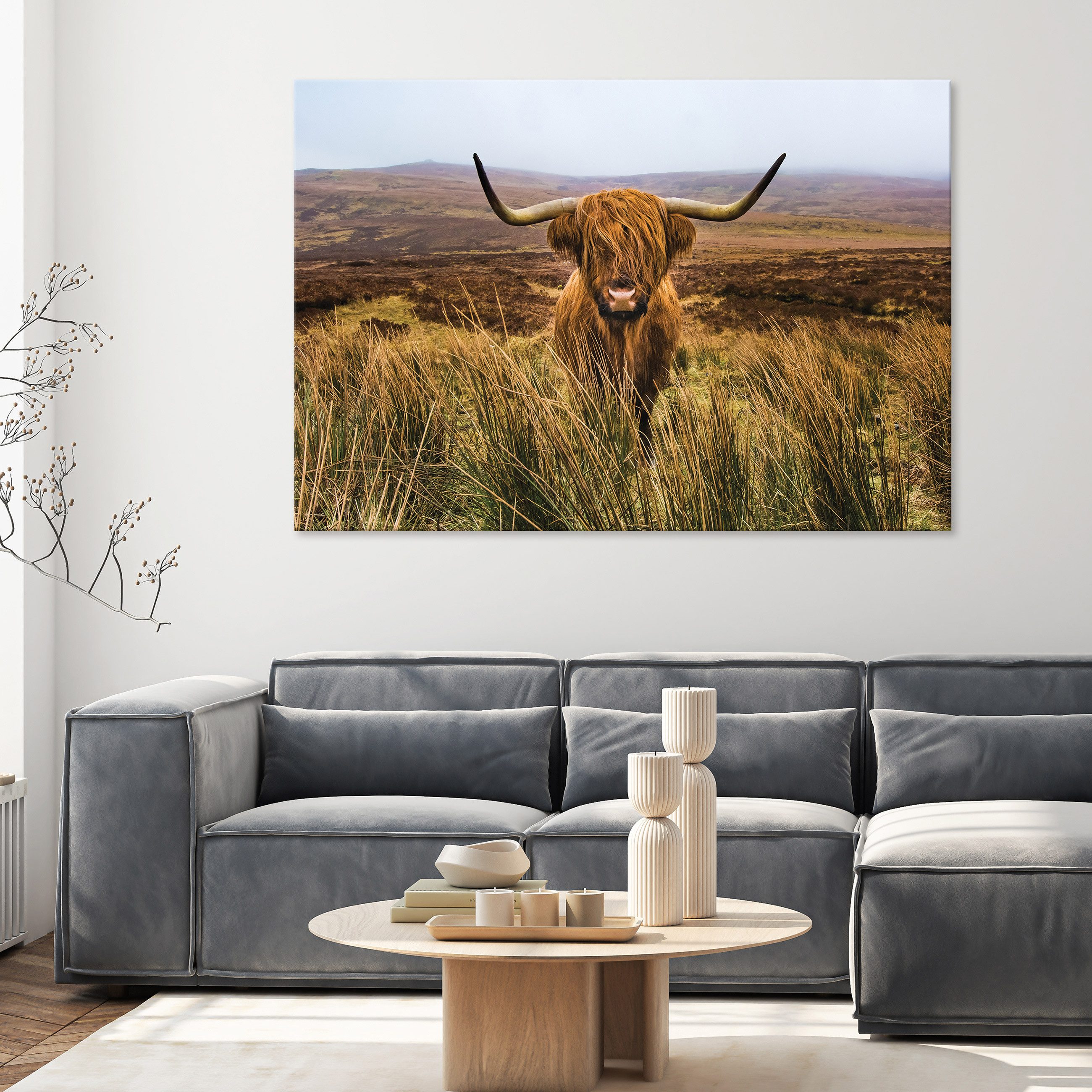 Wallarena Leinwandbild Schottische Kuh Tier Natur günstig online kaufen