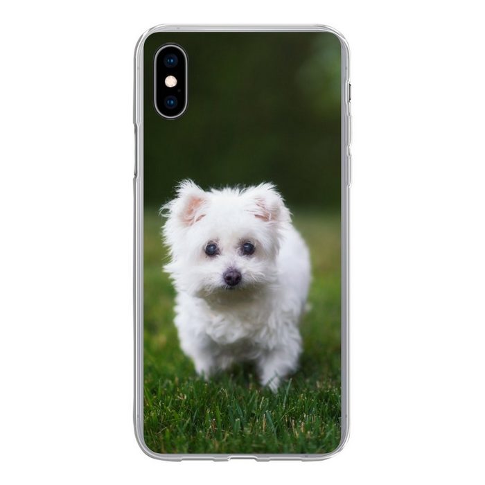 MuchoWow Handyhülle Malteser Hund auf einer Wiese Handyhülle Apple iPhone Xs Smartphone-Bumper Print Handy