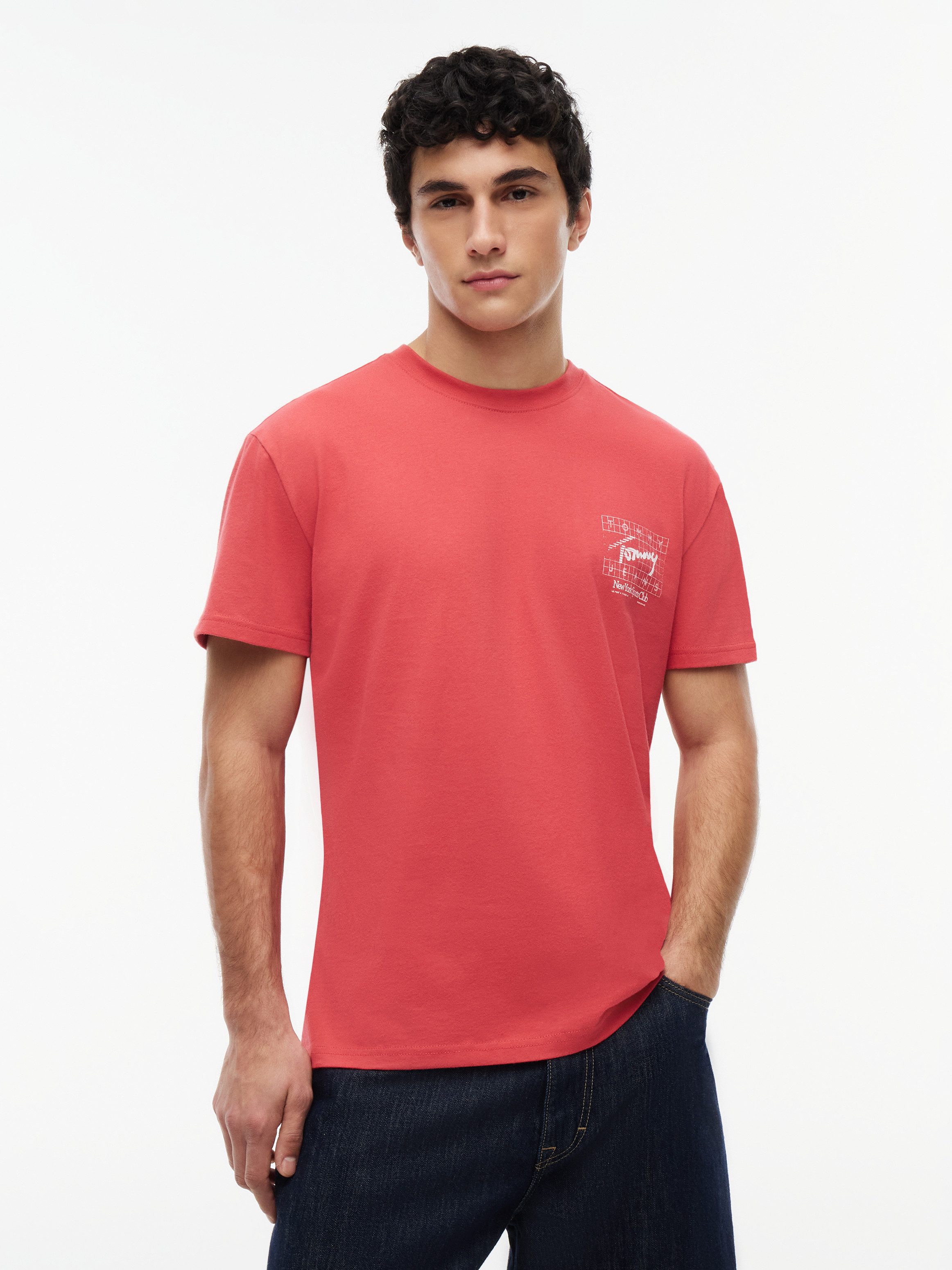 Tommy Jeans T-Shirt TJM REGULAR SIGNATURE FLAG