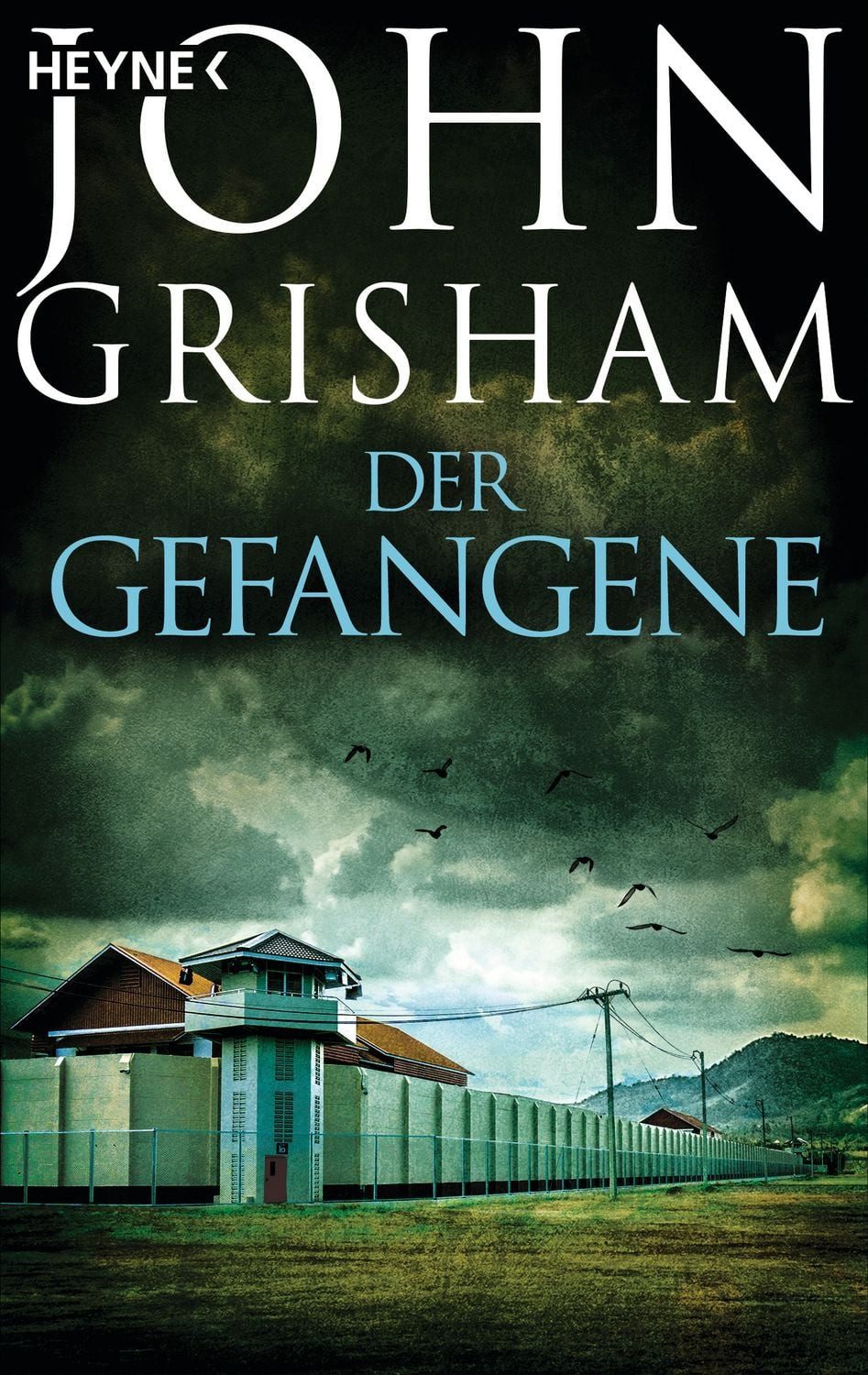 Der Gefangene / John Grisham
