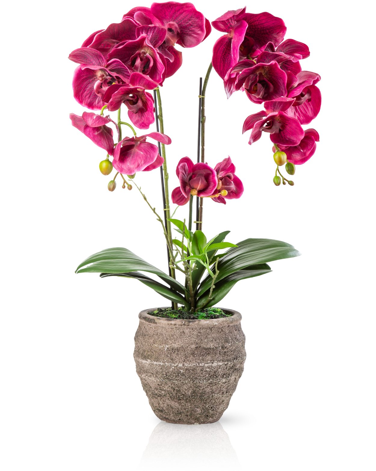 Kunstorchidee PASCH® Orchidee künstlich wie echt (60cm) in Urban Stone Töpfen Orchidee, PASCH, Real Touch Blüten, Handgefertigter Stone Cube