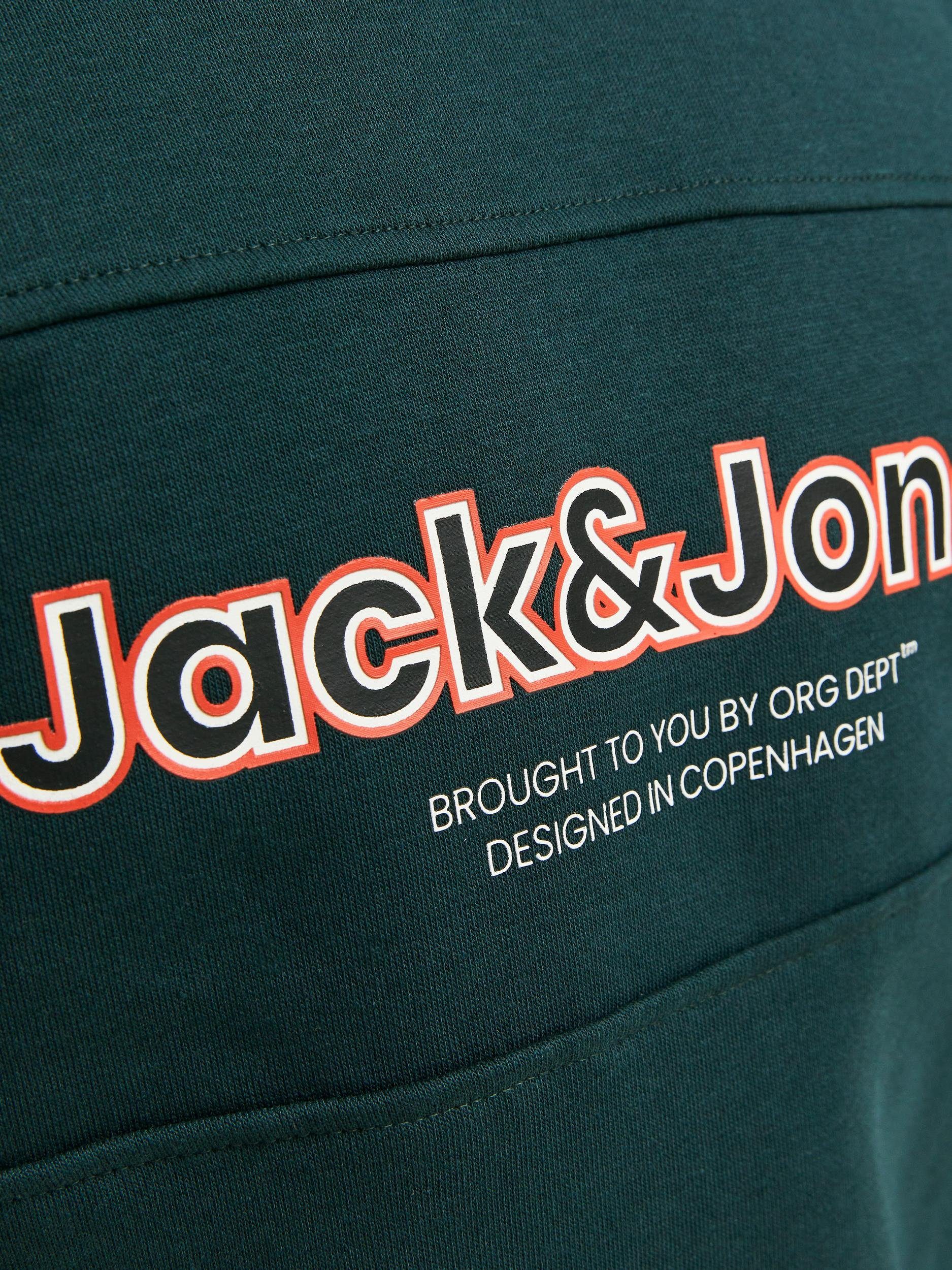 Jack & Jones Junior Sweatshirt JORLAKEWOOD SWEAT NECK BF magical forest CREW JNR