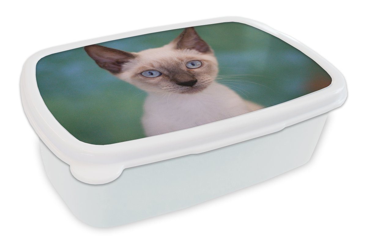 MuchoWow Lunchbox Nahaufnahme einer Siamkatze, Kunststoff, (2-tlg), Brotbox für Kinder und Erwachsene, Brotdose, für Jungs und Mädchen weiß