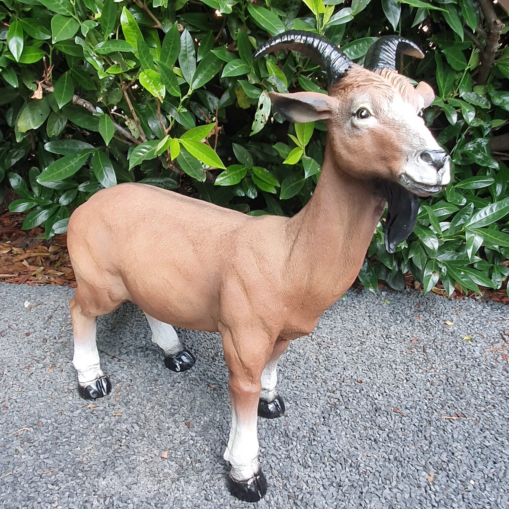 Aspinaworld Gartenfigur Gartenfigur braune Ziegenbock Figur 70 cm