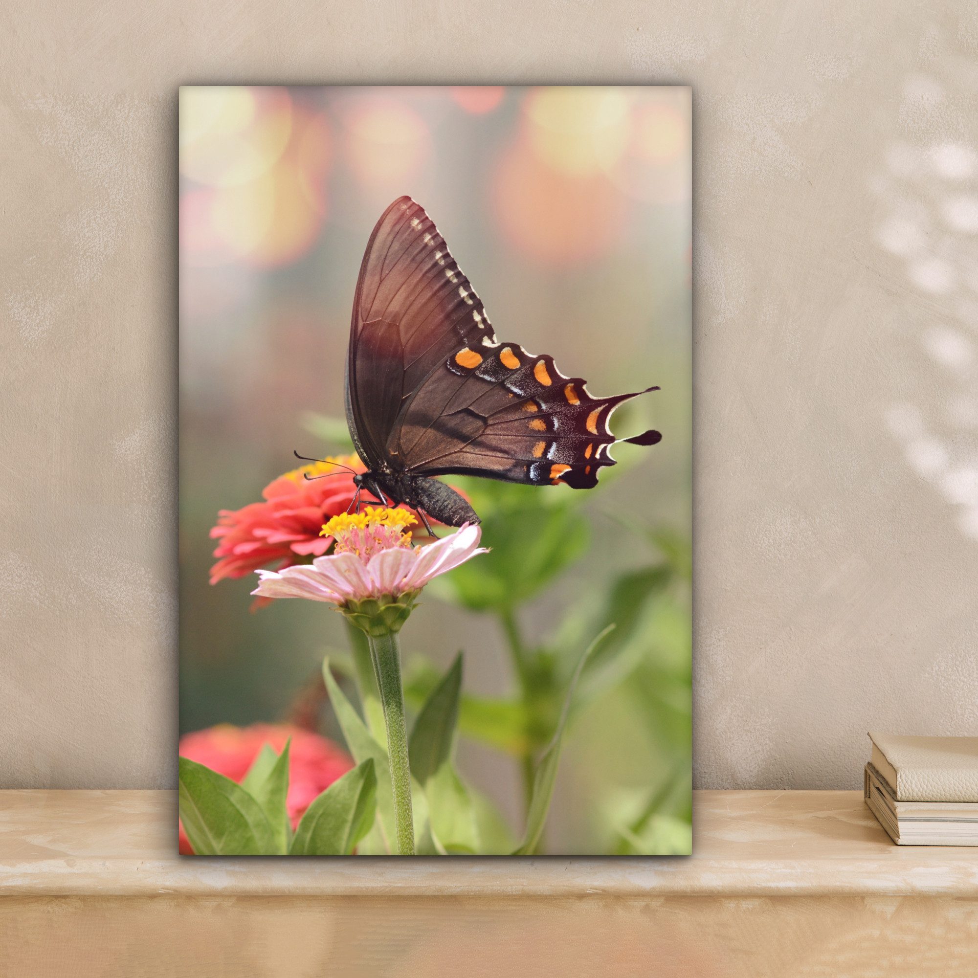 OneMillionCanvasses® Leinwandbild Blumen - Schmetterling - Natur - Blume, F günstig online kaufen