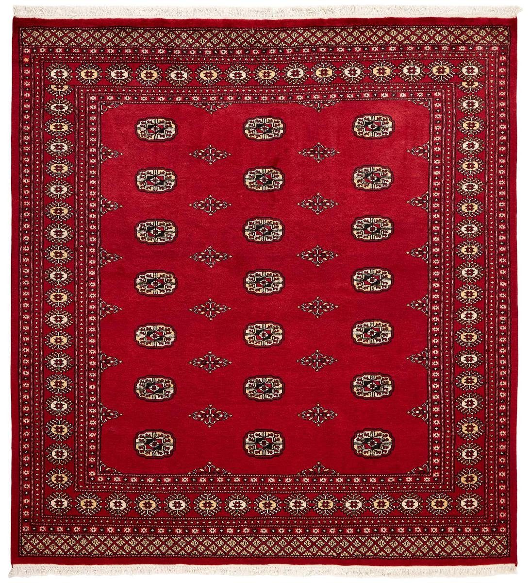 Orientteppich Pakistan Buchara 2ply 205x207 Handgeknüpfter Orientteppich, Nain Trading, rechteckig, Höhe: 8 mm