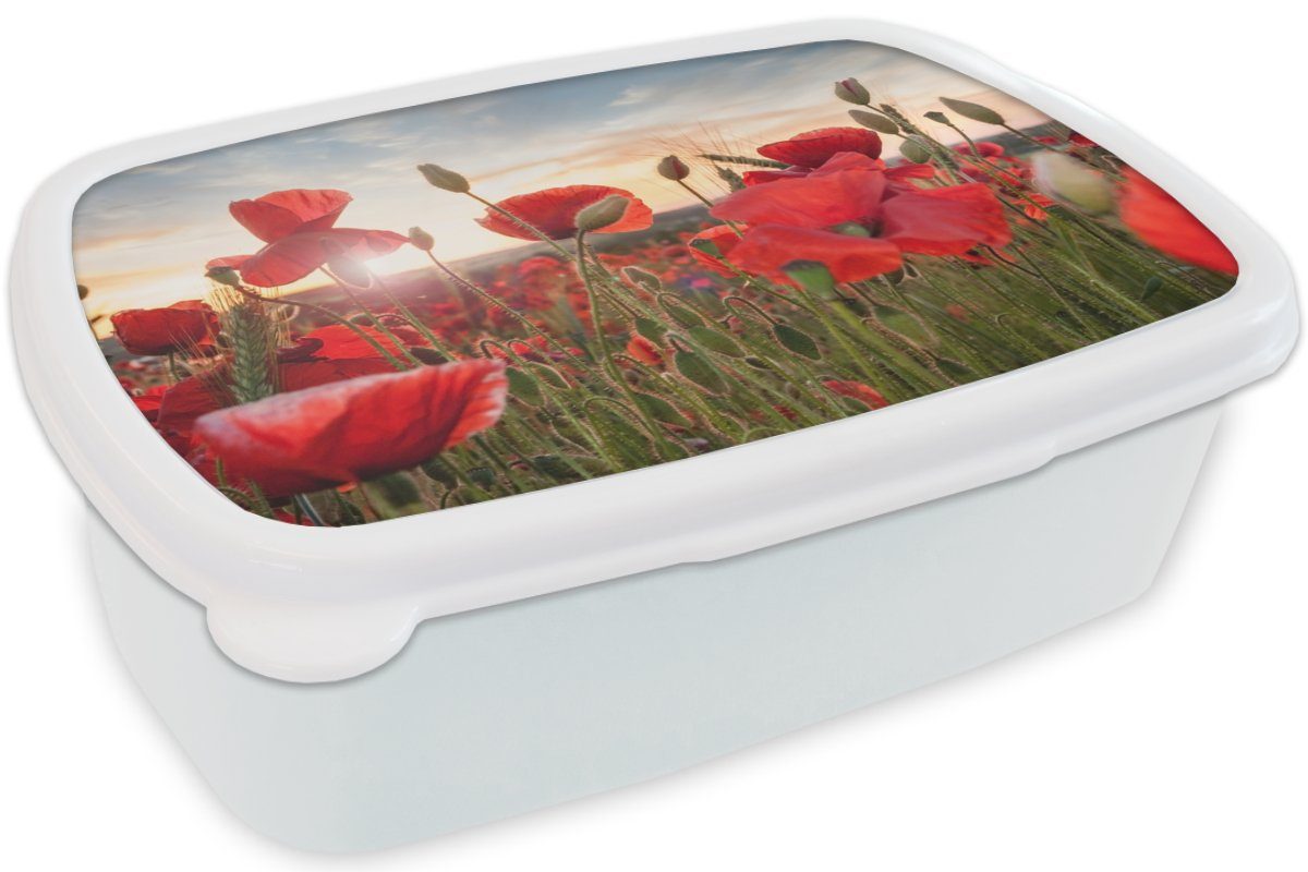 Jungs Kinder Mädchen Kunststoff, Brotbox Brotdose, und MuchoWow Mohnblumen, weiß Sonnenuntergang für hinter Erwachsene, für schönen Lunchbox (2-tlg), den und