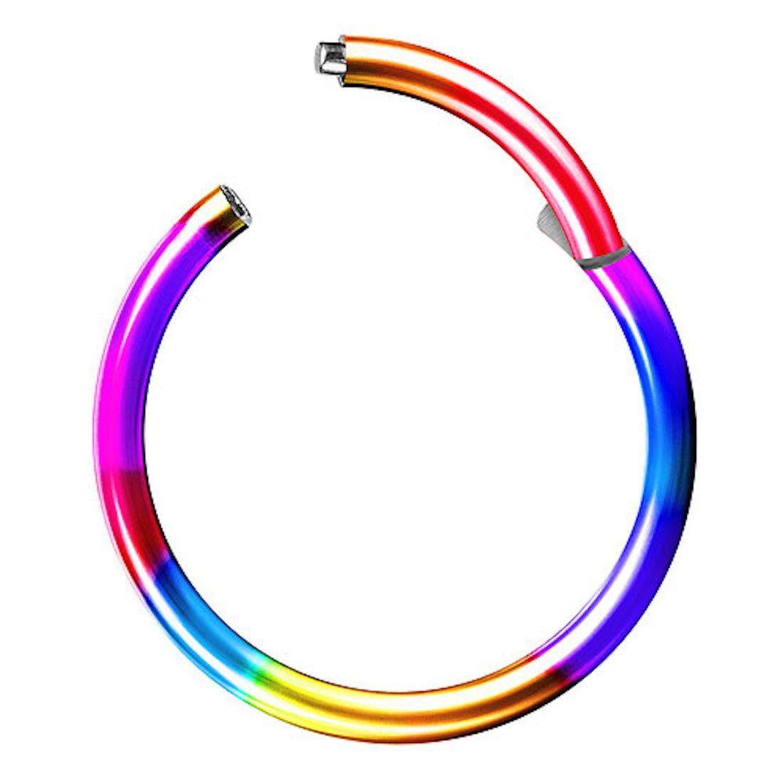 Taffstyle Nasenpiercing Clicker Ohr Universal Piercing Titan G23 oder Chirurgenstahl (Vielseitiger Segmentring aus Titan oder Chirurgenstahl in vielen Farben und Größen), Scharnier Klicker für Septum Ohr Nase Lippe