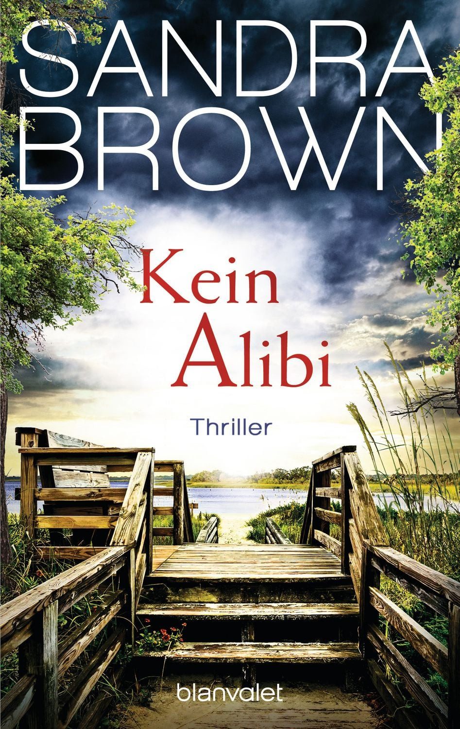 Kein Alibi / Sandra Brown