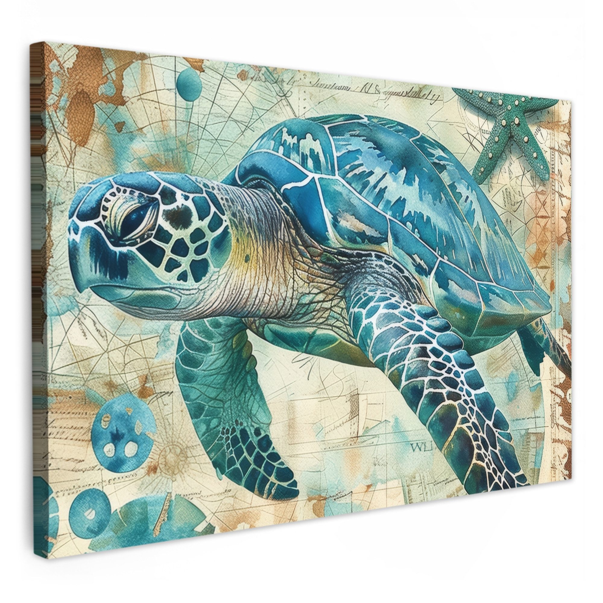 OneMillionCanvasses® Leinwandbild Weinlese - Schildkröte - günstig online kaufen
