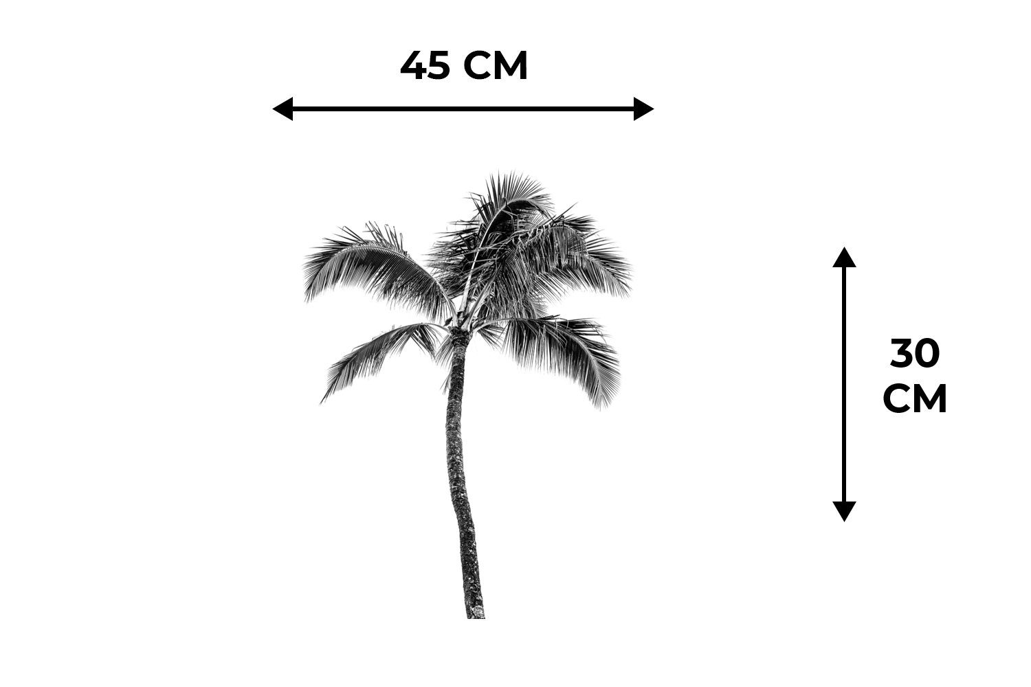 Platzdecken, Schmutzabweisend MuchoWow, (6-St), Tropisch Palme und Platzmatte, - weiß, Tischmatten, Platzset, - Schwarz Platzset,