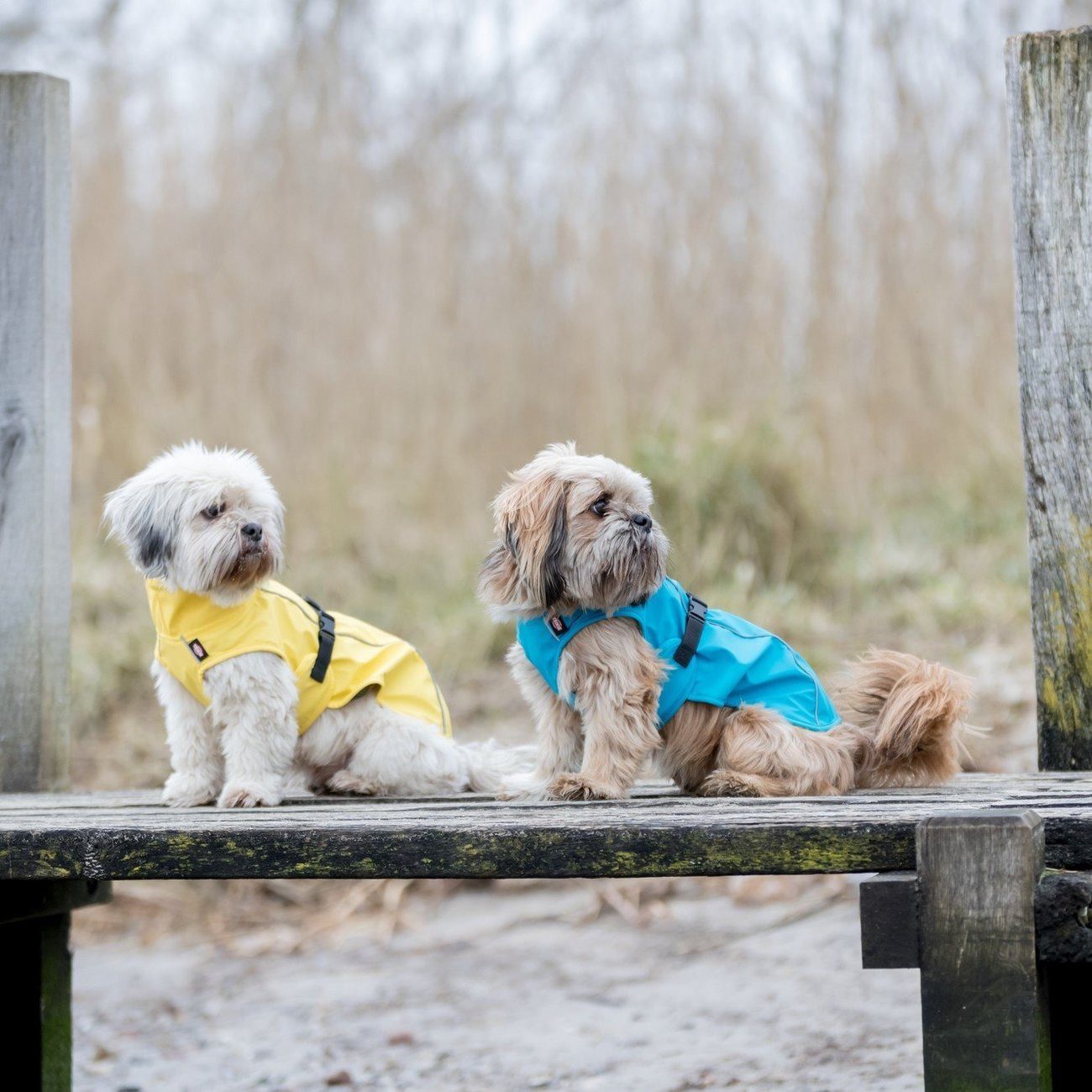 TRIXIE Hundemantel Vimy Bauchschutz