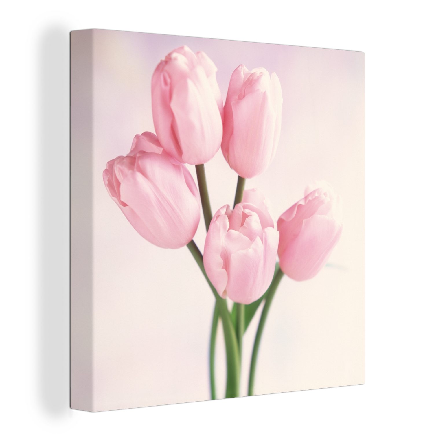 OneMillionCanvasses® Leinwandbild Nahaufnahme von rosa Tulpen, günstig online kaufen