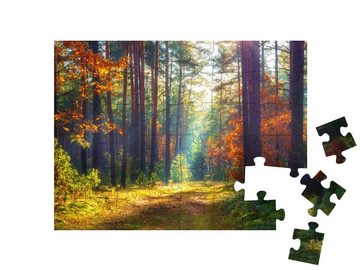 puzzleYOU Puzzle Herbstliche Naturlandschaft., 48 Puzzleteile, puzzleYOU-Kollektionen Natur, Flora, Pflanzen, 500 Teile, 2000 Teile