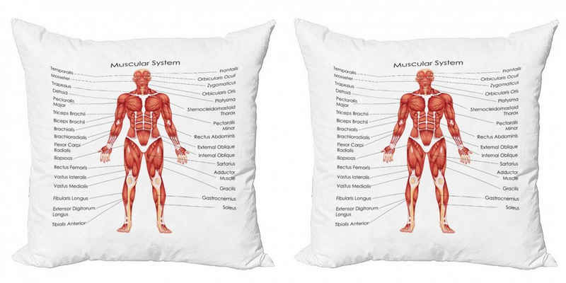 Kissenbezüge Modern Accent Doppelseitiger Digitaldruck, Abakuhaus (2 Stück), Anatomie Die Menschliche Muskulatur-Ansicht
