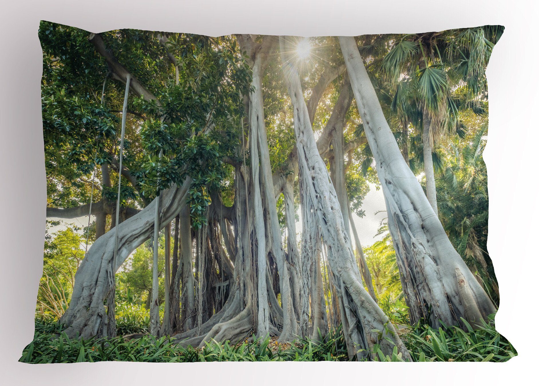 Dekorativer Sunbeams Size Stück), Baum Trunk (1 Kissenbezüge King Ficus Abakuhaus Gedruckter Kissenbezug, Standard Riesen