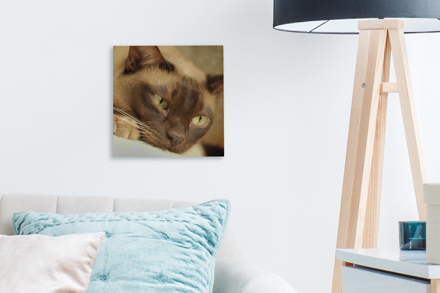 Bilder burmesische Schlafzimmer Wohnzimmer St), Braun (1 Leinwandbild gefärbte OneMillionCanvasses® Katze, für Leinwand