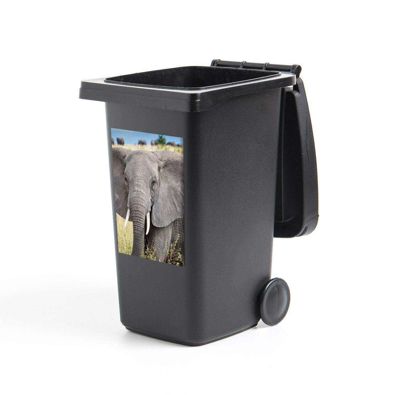 MuchoWow Wandsticker Elefant - Tiere - Gras - Natur (1 St), Mülleimer-aufkleber, Mülltonne, Sticker, Container, Abfalbehälter
