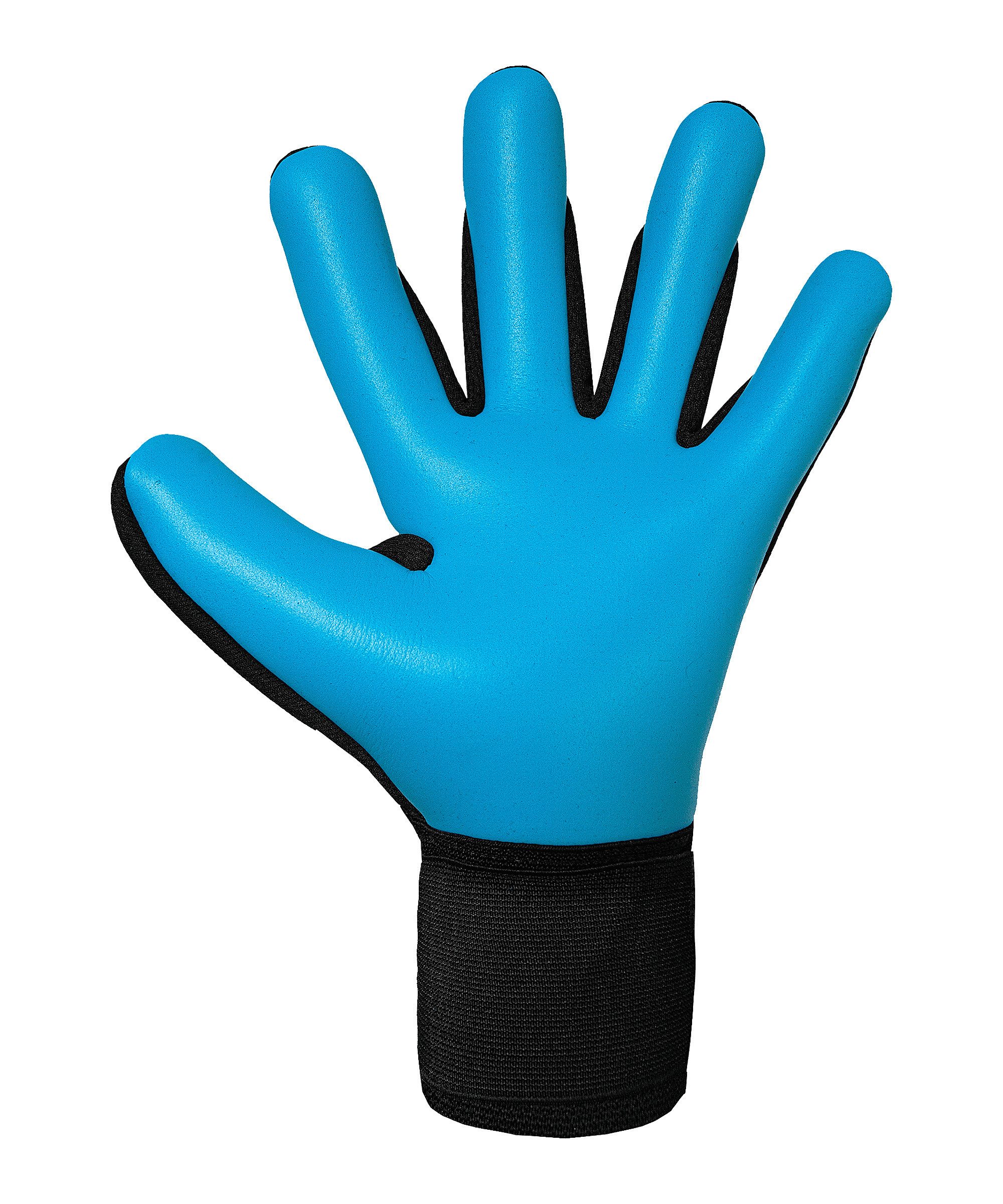 Reusch Torwarthandschuhe Reusch Attrakt Freegel Aqua Torwarthandschuhe