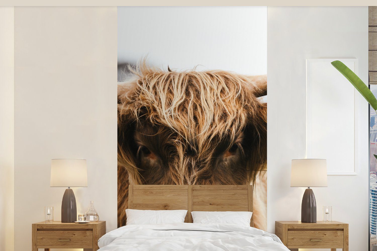 MuchoWow Wohnzimmer - - St), Natur, Schlafzimmer bedruckt, Fototapete Fototapete (2 Kuh - - Schottischer Highlander Küche, Vliestapete Matt, Gras für Tiere