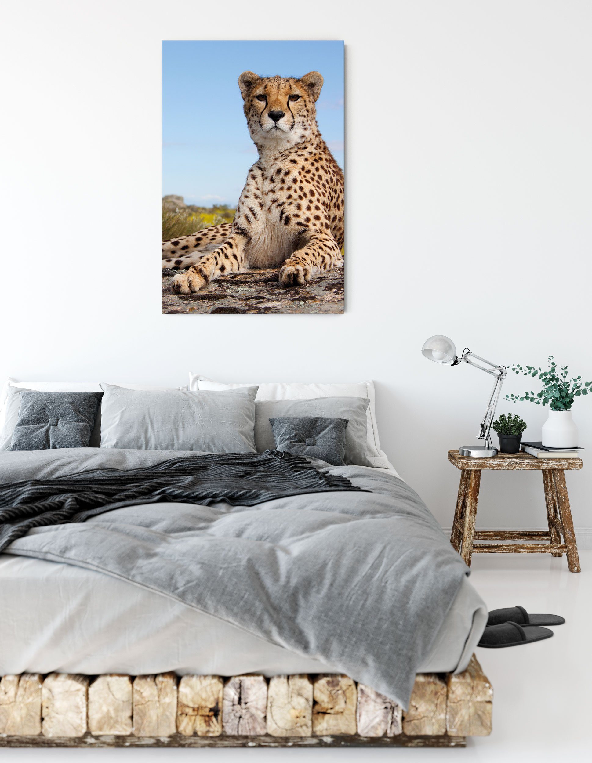 Leinwandbild Gepard Savanne, Savanne Leinwandbild bespannt, inkl. Zackenaufhänger Pixxprint fertig Gepard St), in in (1