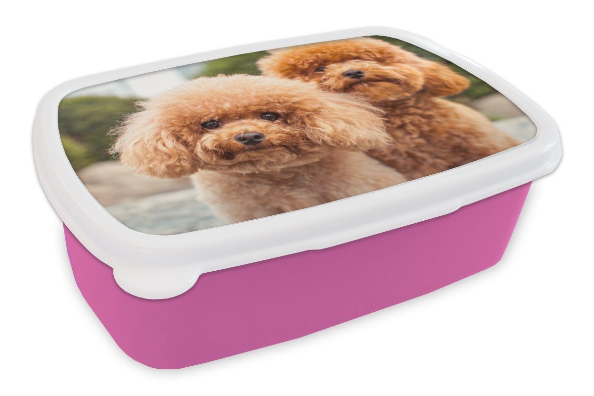 Kunststoff, Mädchen, Welpen, Kinder, Eine braunen rosa Brotbox der Nahaufnahme Lunchbox (2-tlg), Brotdose für Kunststoff MuchoWow Erwachsene, Snackbox,