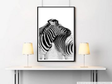 Sinus Art Poster Zwei zärtliche Zebras schwarz weiß 60x90cm Poster