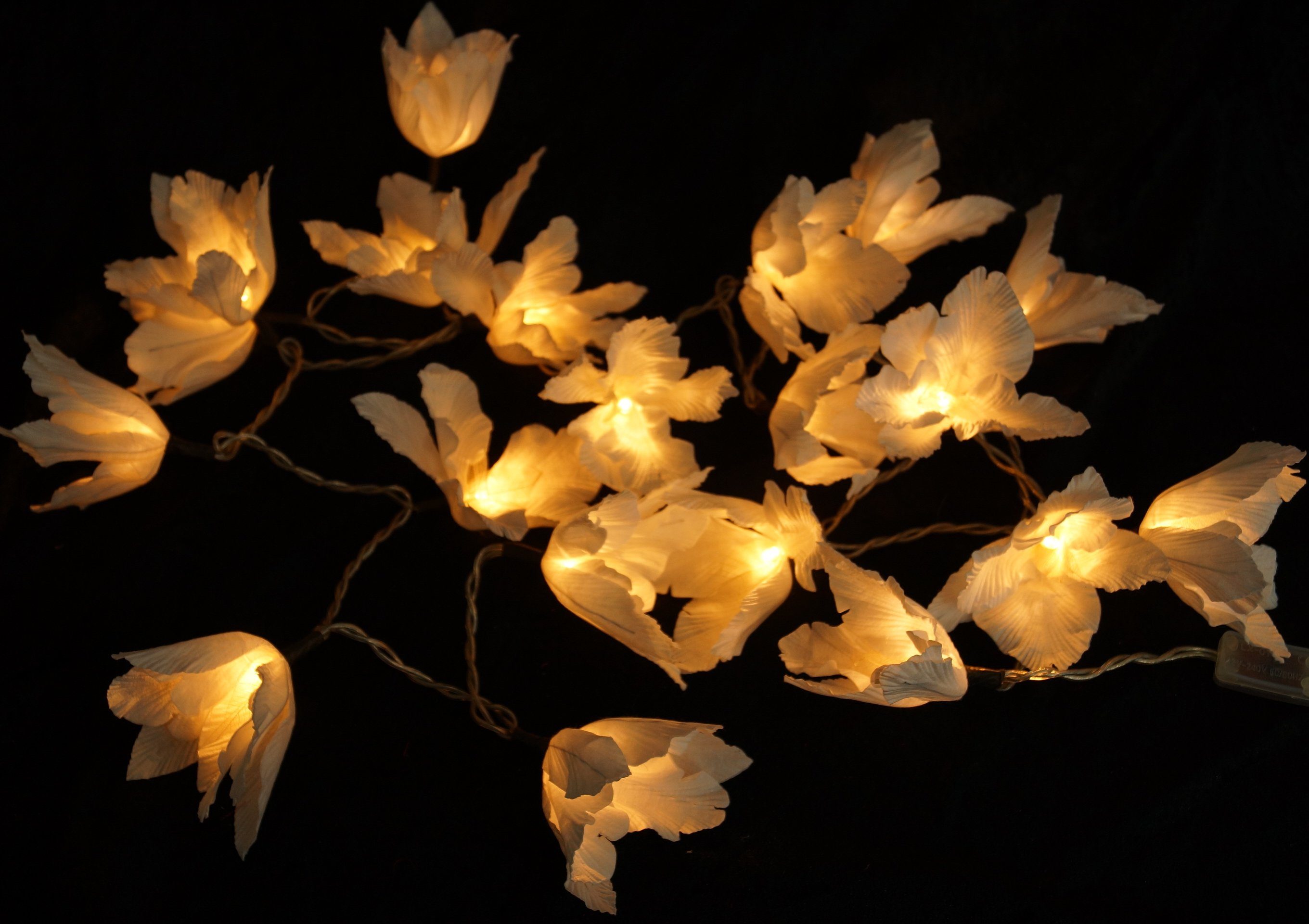 Guru-Shop LED-Lichterkette Lotus Blüten LED Lichterkette günstig online kaufen