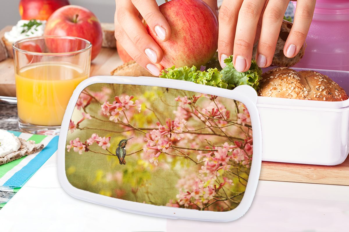 für Erwachsene, Rosa, Mädchen Vogel Blüte und und für Brotbox - MuchoWow - Kinder Lunchbox weiß Kunststoff, Jungs - (2-tlg), Kolibri Brotdose,