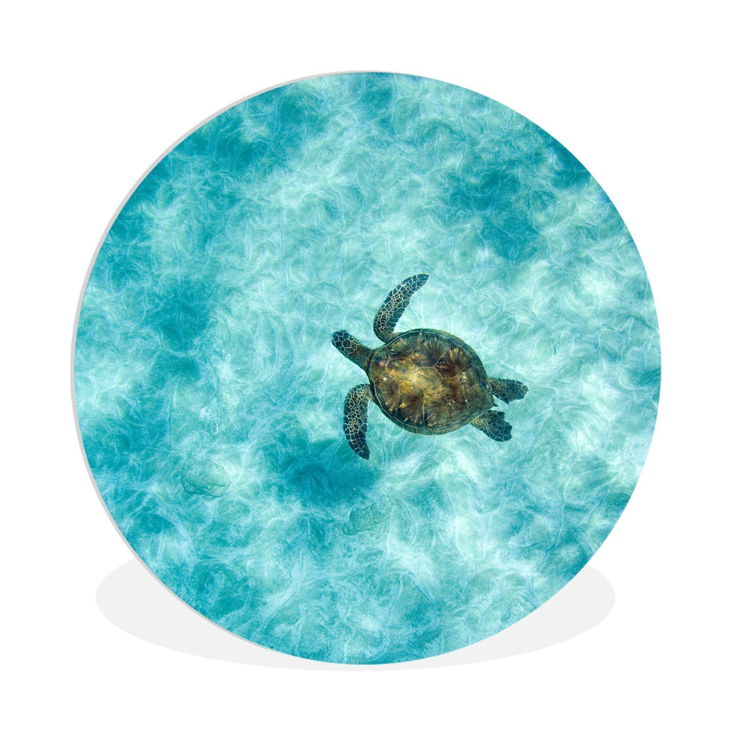 MuchoWow Gemälde Schildkröte im Meer, (1 St), Kreis Wanddekoration Forex, Rundes Wandbild, Wohnzimmer, 30x30 cm