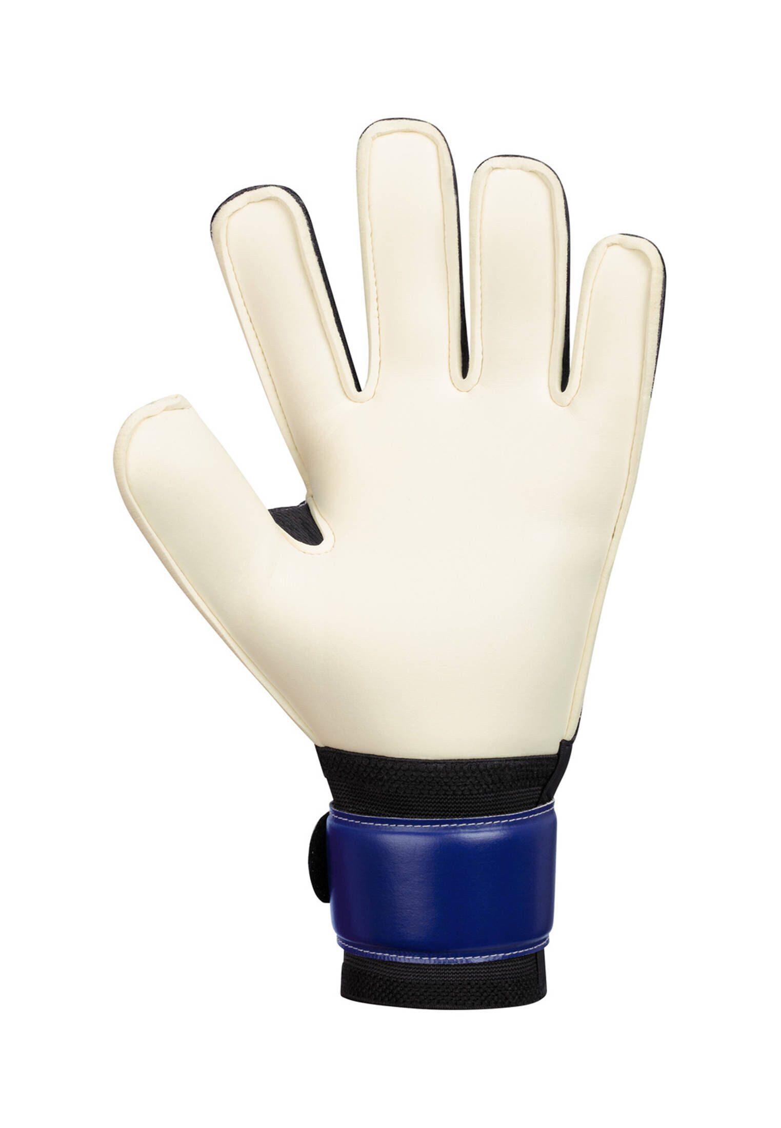Jako Torwarthandschuhe Herren Torwarthandschuhe RIVER BASIC günstig online kaufen