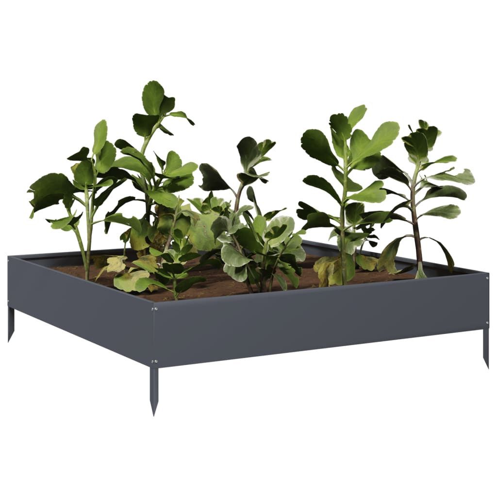 vidaXL Hochbeet Hochbeet Anthrazit 100x100x26 cm Stahl (1 St)