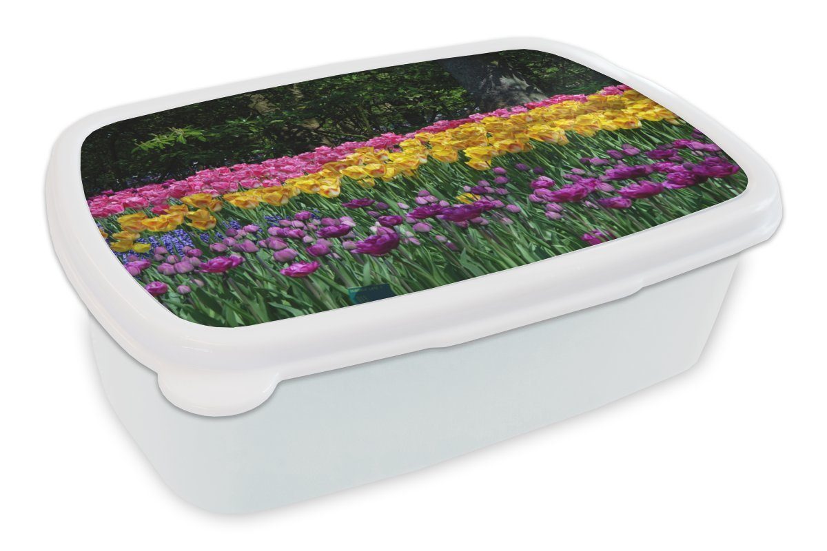 MuchoWow Lunchbox Tulpen auf dem Keukenhof in den Niederlanden, Kunststoff, (2-tlg), Brotbox für Kinder und Erwachsene, Brotdose, für Jungs und Mädchen weiß