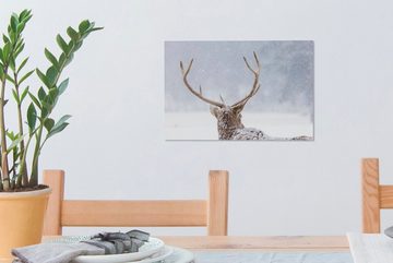 OneMillionCanvasses® Leinwandbild Hirsche - Geweihe - Schnee - Winter, (1 St), Wandbild Leinwandbilder, Aufhängefertig, Wanddeko, 30x20 cm