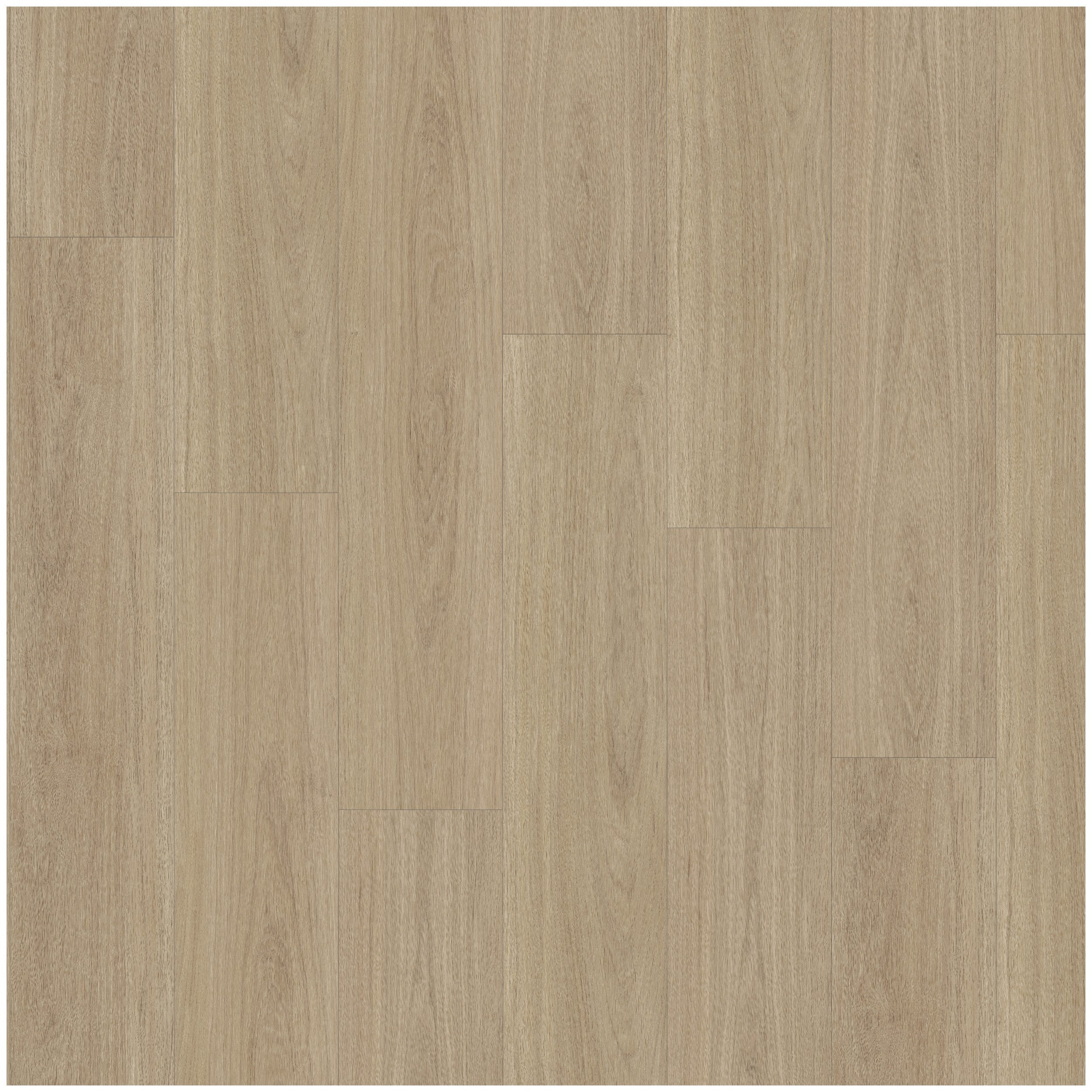 PARADOR Vinylboden Classic 2070 Eiche Oxford geschliffen, Besonders leise, antibakteriell und hygienisch, Klickvinyl 1,904m² (7 Dielen) pro Karton