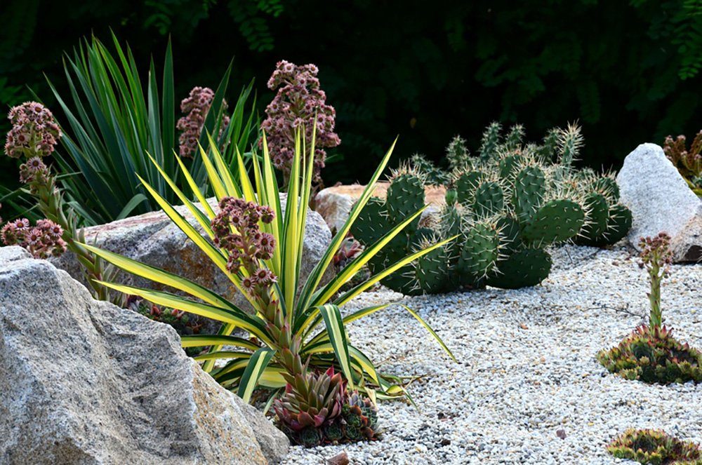 HaGa Unkrautvlies GARTENVLIES 50g/m² 1,6m x 10m Unkrautvlies, Wasserdurchlässiges Pflanzenvlies - Unkrautschutz im Garten