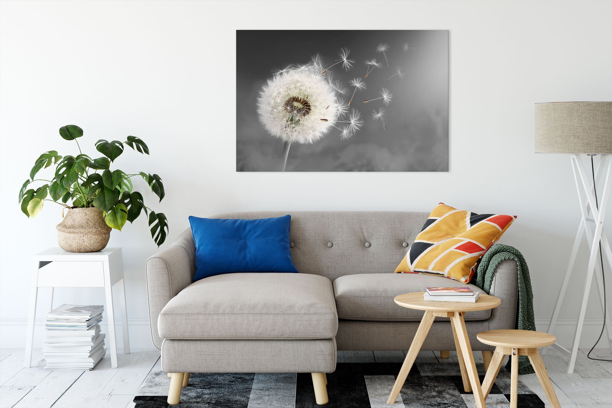Pixxprint Leinwandbild Löwenzahn Samen, Löwenzahn Samen günstig online kaufen