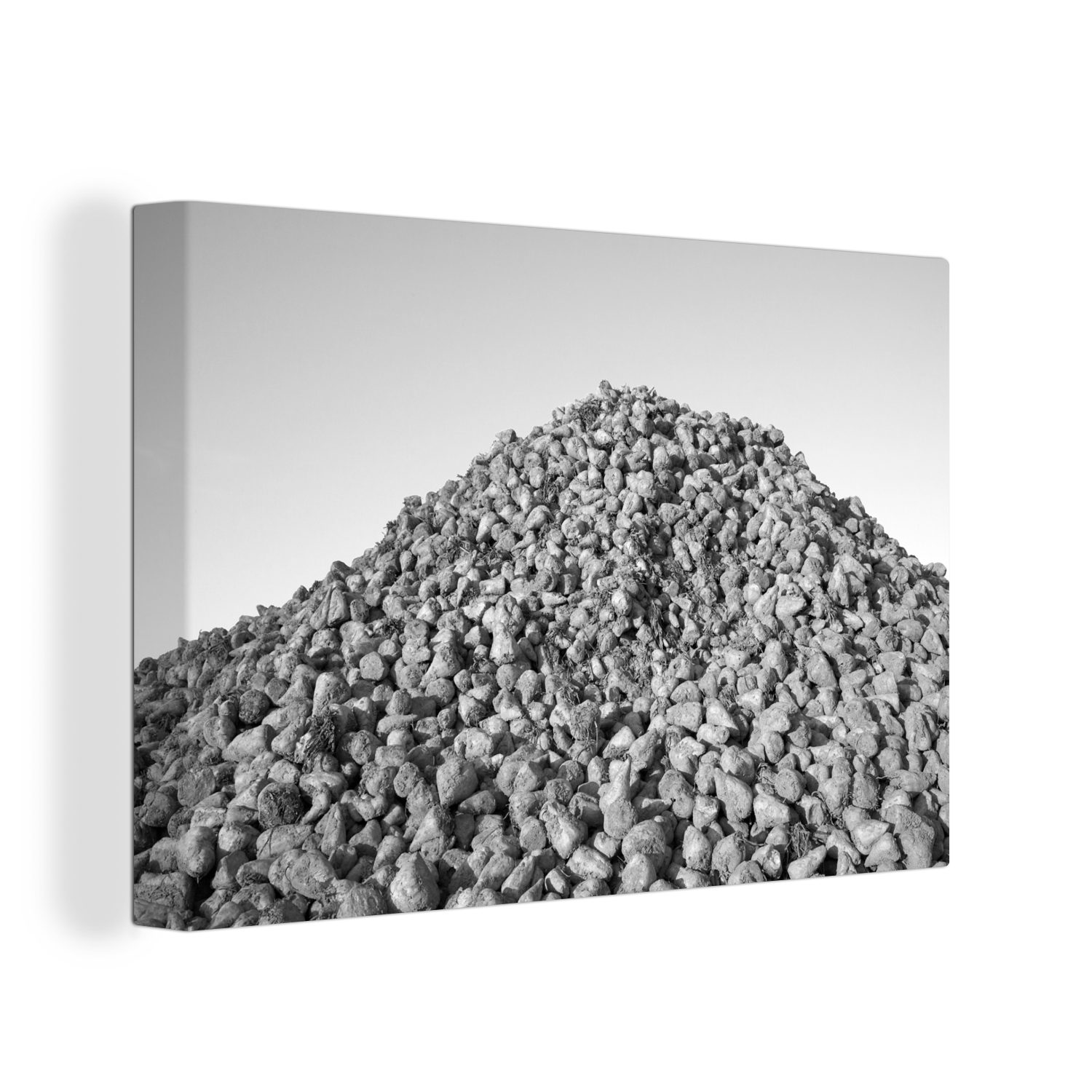 OneMillionCanvasses® Leinwandbild Ein Haufen Zuckerrüben unter blauem Himmel - schwarz und weiß, (1 St), Wandbild Leinwandbilder, Aufhängefertig, Wanddeko, 30x20 cm
