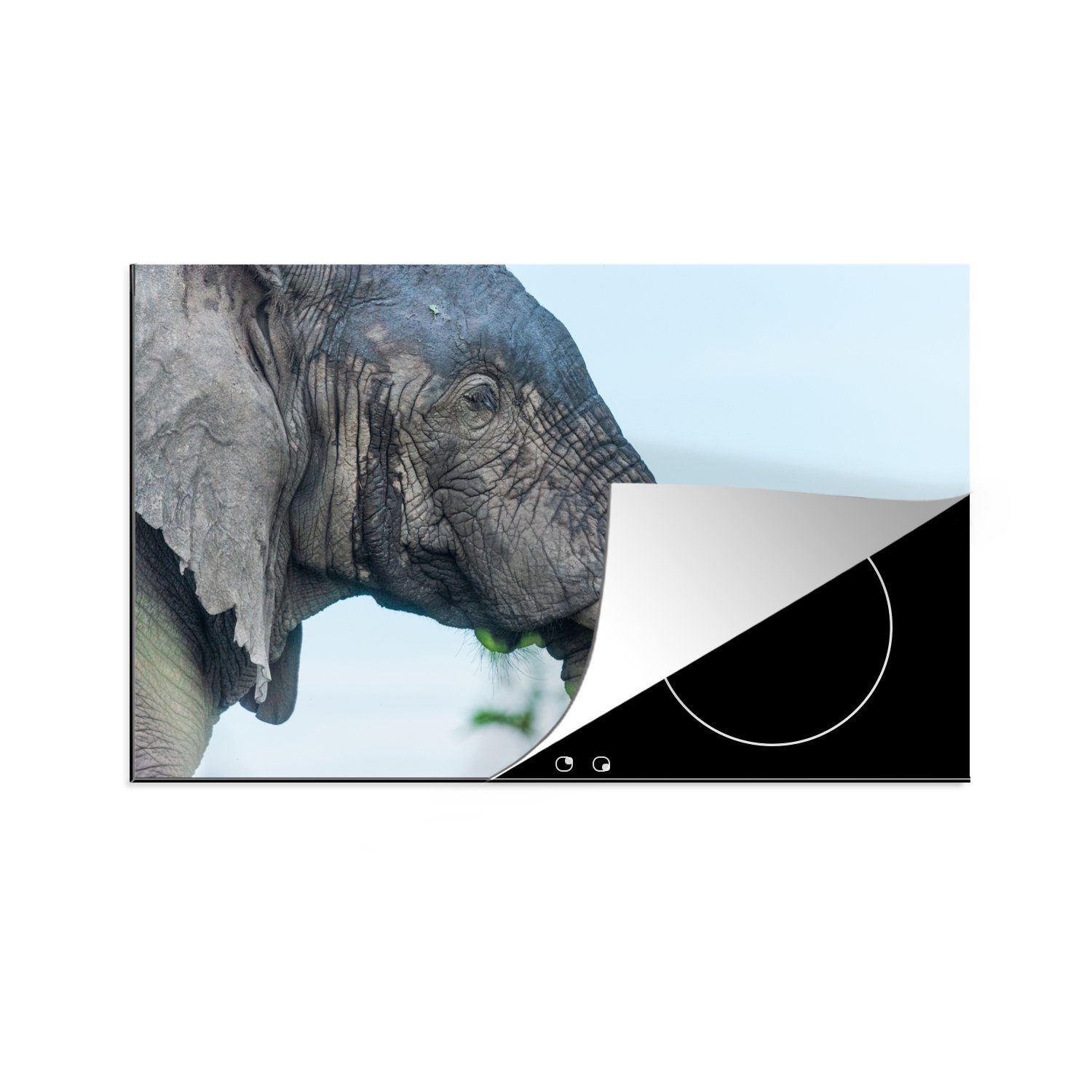 MuchoWow Herdblende-/Abdeckplatte Elefant - Tiere - Grau - Natur, Vinyl, (1 tlg), 81x52 cm, Induktionskochfeld Schutz für die küche, Ceranfeldabdeckung