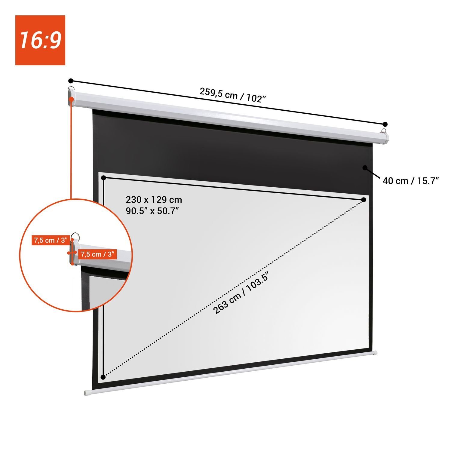 Celexon basic line Motorleinwand (schwarze Rückseite)