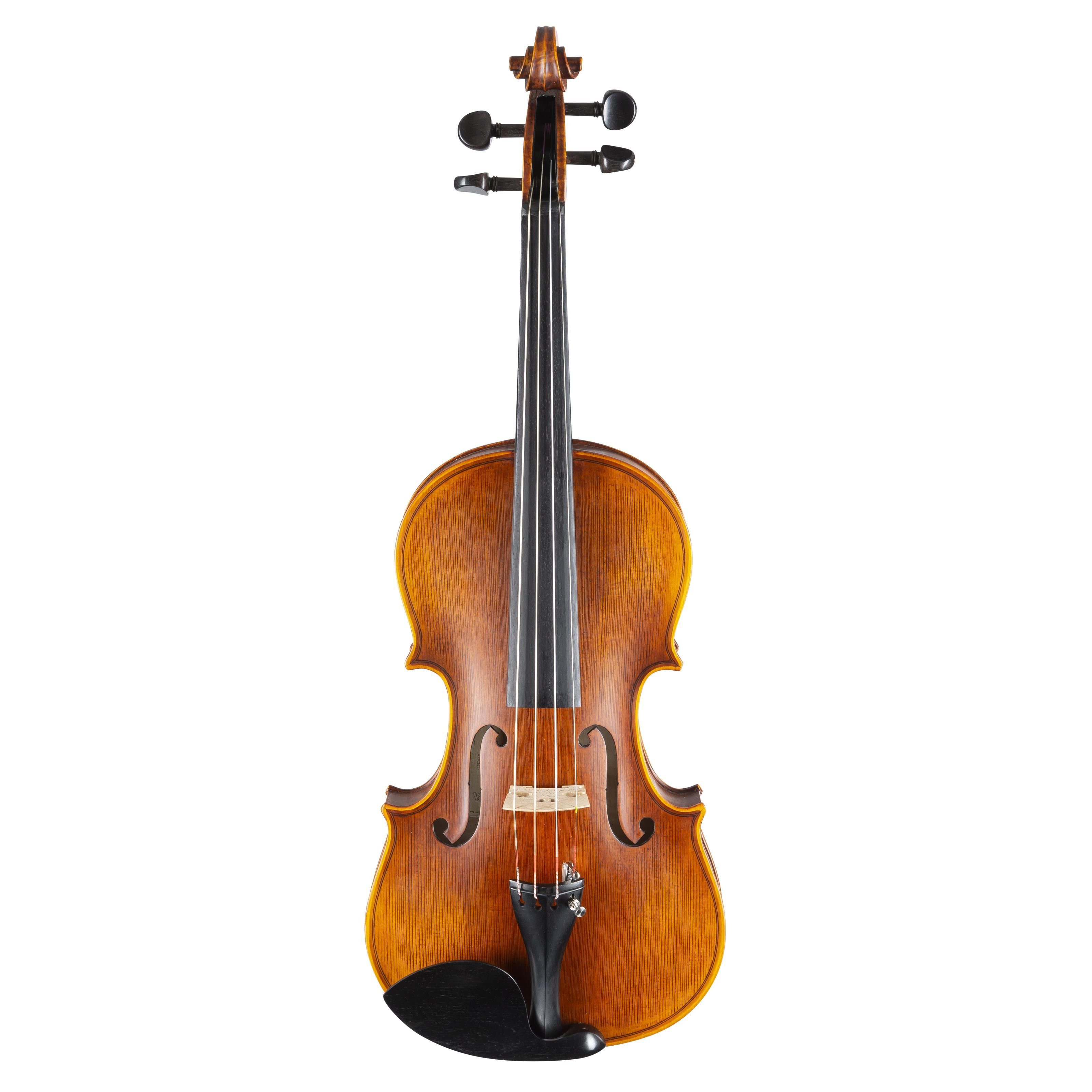 Stentor Violine, Violinen / Geigen, Akustische Violinen, 4/4 Violine Messina - Violine