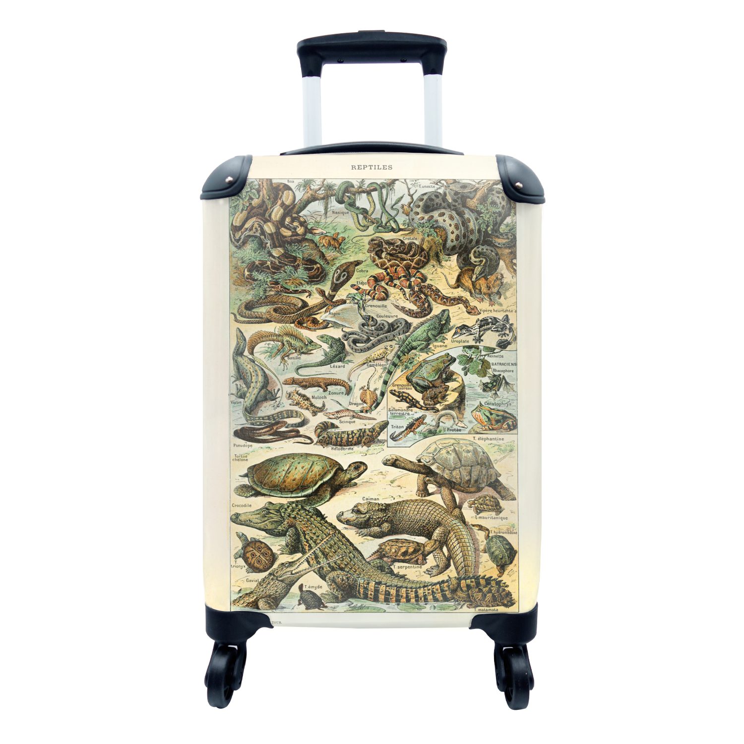MuchoWow Handgepäckkoffer Tiere - Reptilien - Gestaltung, 4 Rollen, Reisetasche mit rollen, Handgepäck für Ferien, Trolley, Reisekoffer