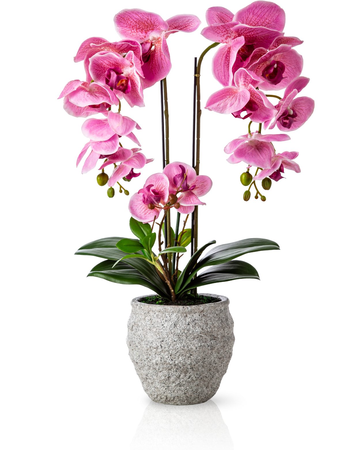 Kunstorchidee PASCH® Orchidee künstlich wie echt (60cm) in Urban Stone Töpfen Orchidee, PASCH, Real Touch Blüten, Handgefertigter Stone Cube
