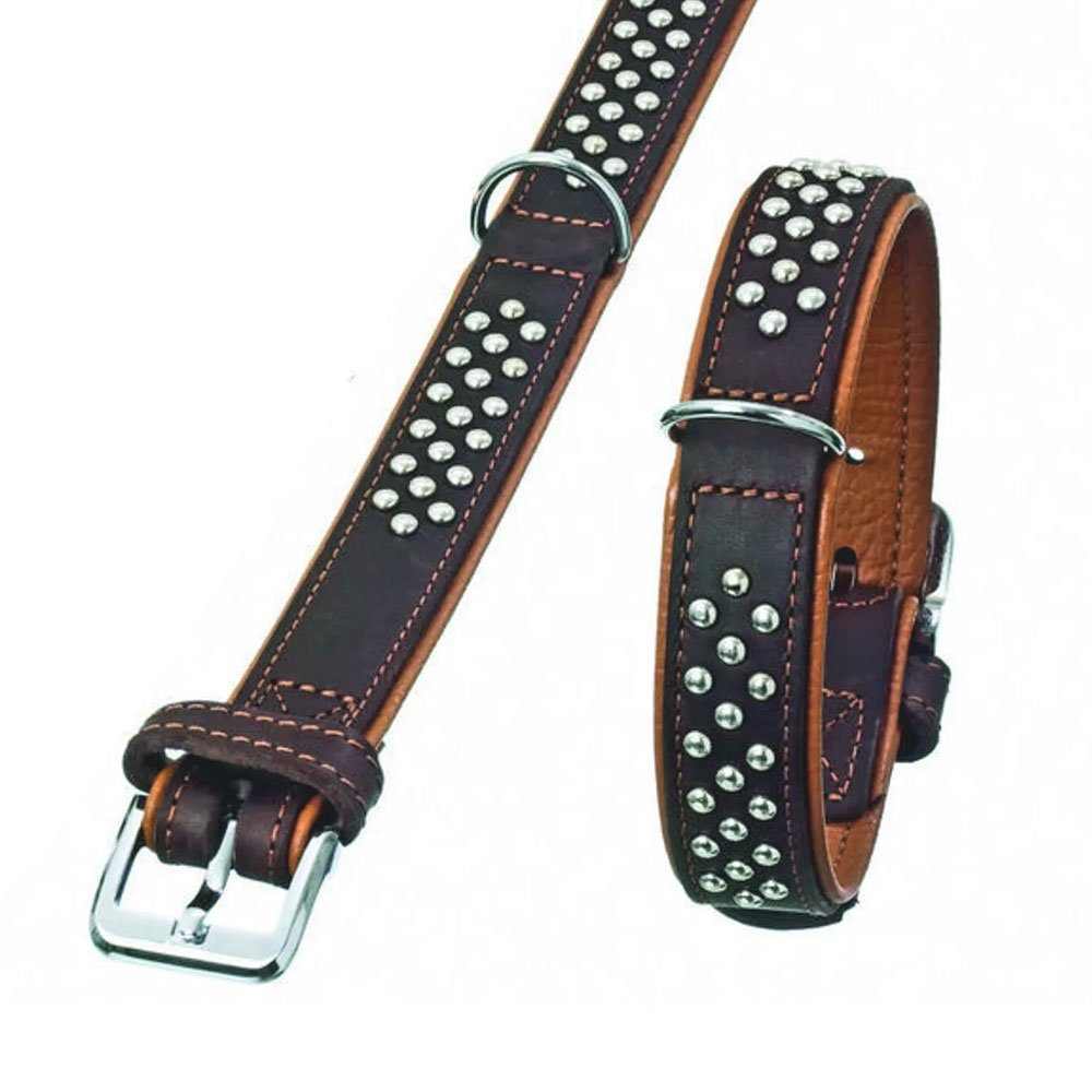Karlie Hunde-Halsband Karlie Rondo Halsband mit Rundkopfnieten - braun Breite/Länge: 22mm