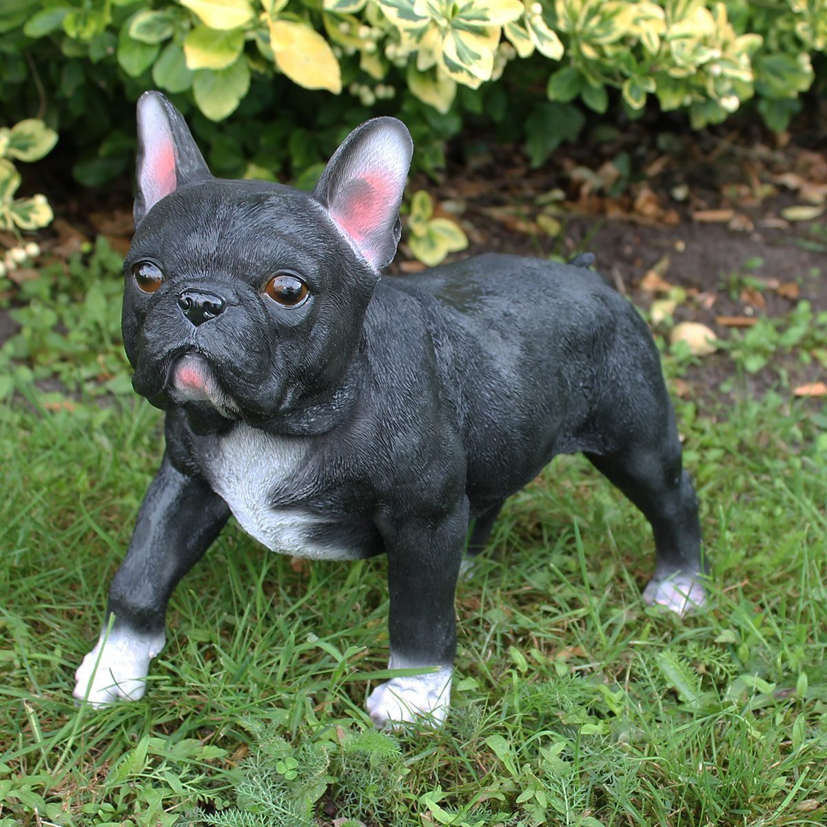 colourliving Tierfigur Hunde Figur Französische Bulldogge Figur stehend schwarz lebensecht (1x stehend), handbemalt, wetterfest, lebensecht wirkend
