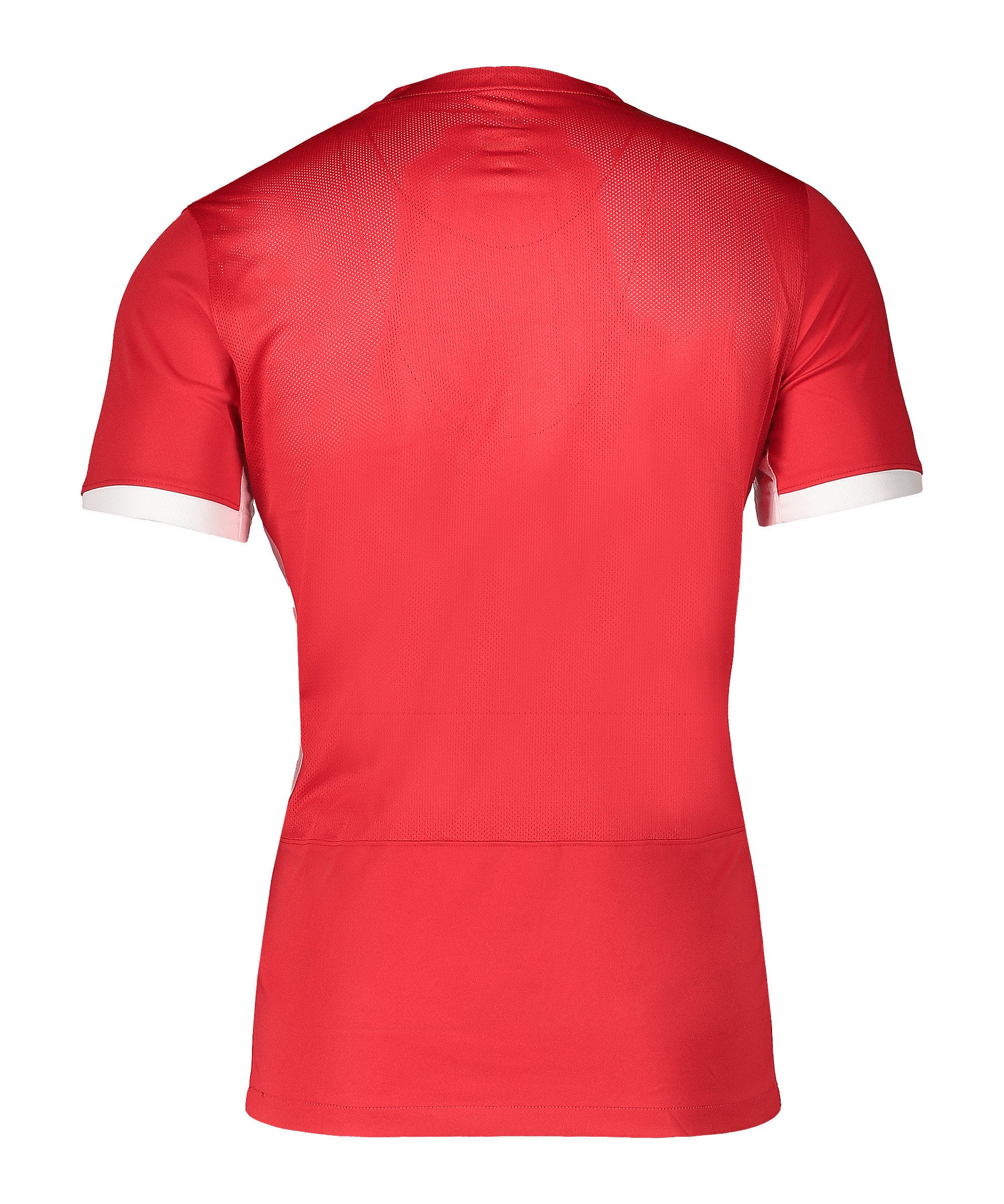Nike Fußballtrikot Nike Performance Classic GX1 Trikot Trikots Herren Teams günstig online kaufen