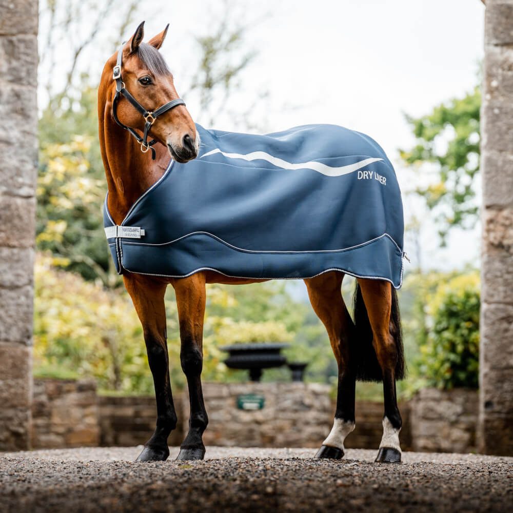 Horseware Pferde-Abschwitzdecke Horseware Dry Liner