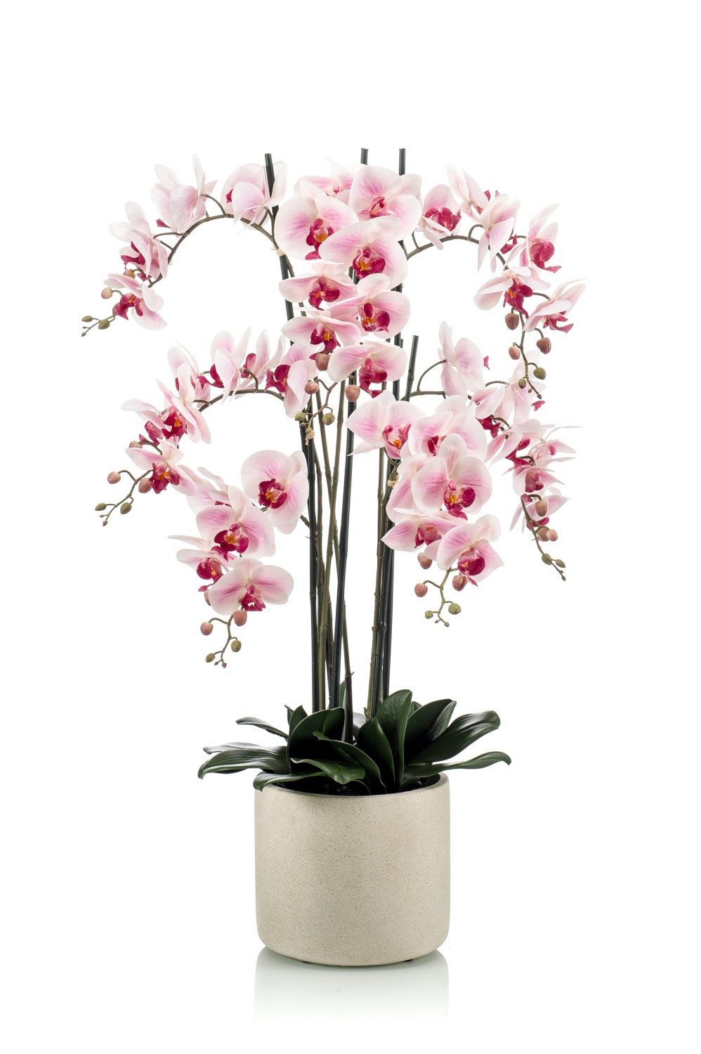 Kunstorchidee Phalaenopsis künstlich Cecile, Keramiktopf, rosa-pink, 100cm Orchidee (Orchidee phalaenopsis), artplants, Höhe 100.0 cm