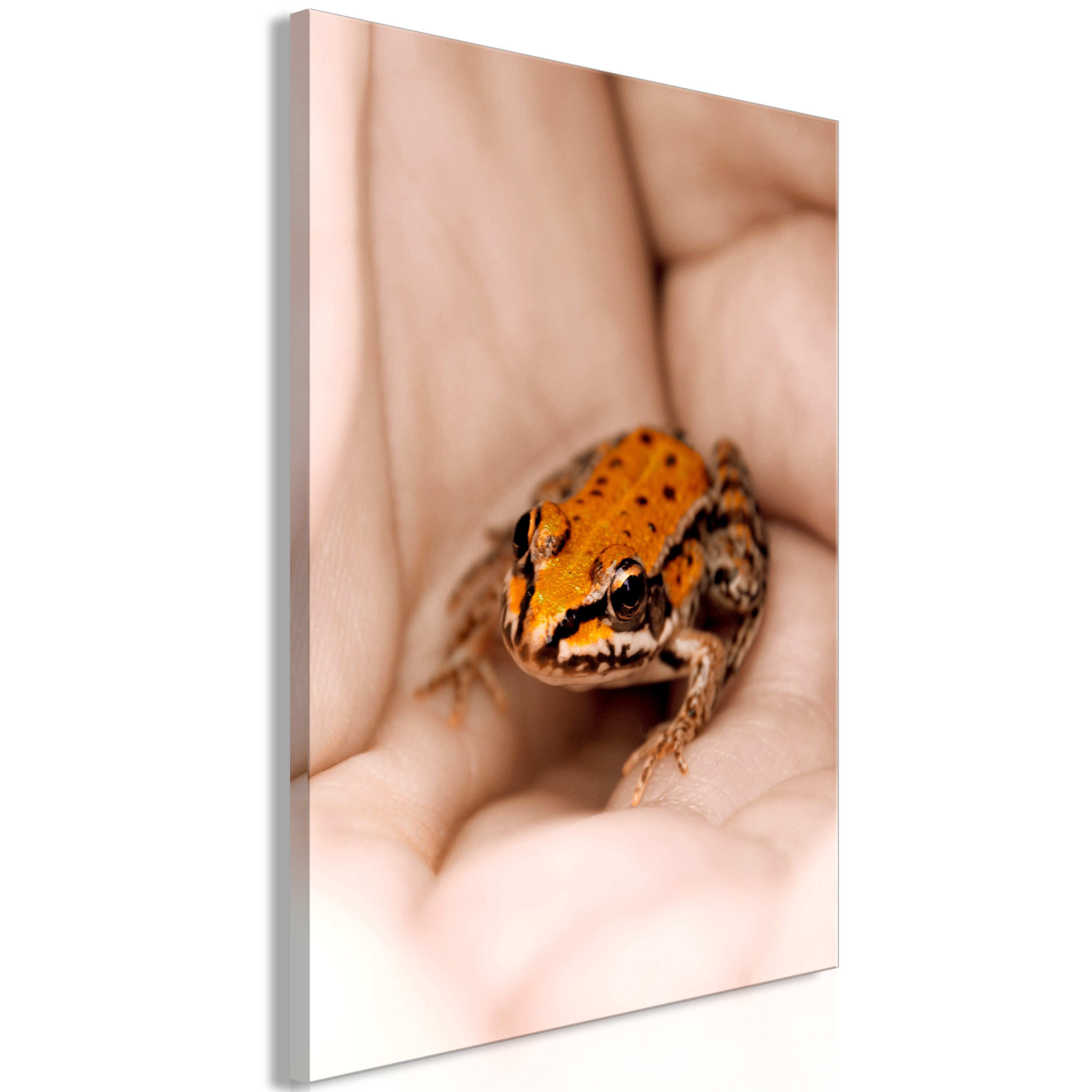 Basera® Leinwandbild b-A-0550-b-a