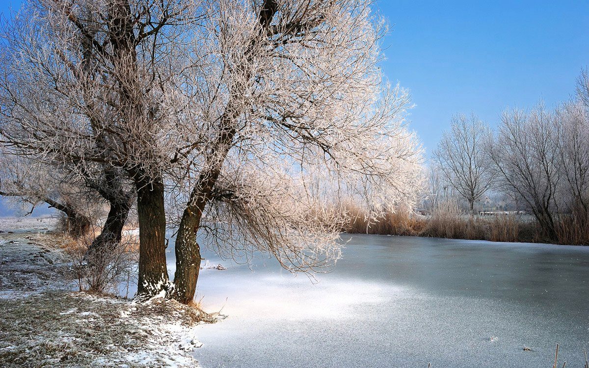 Papermoon Fototapete Winter Fluss